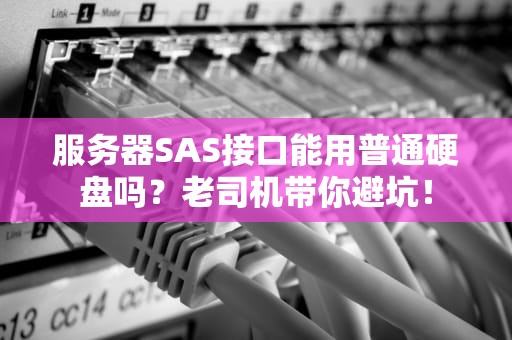 服务器SAS接口能用普通硬盘吗？老司机带你避坑！