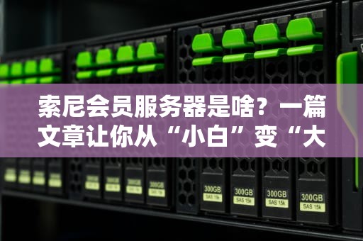 索尼会员服务器是啥？一篇文章让你从“小白”变“大神”！