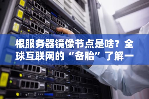 根服务器镜像节点是啥？全球互联网的“备胎”了解一下！