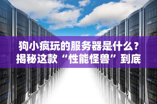 狗小疯玩的服务器是什么？揭秘这款“性能怪兽”到底有多疯！