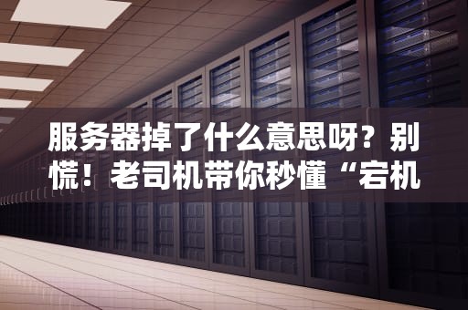 服务器掉了什么意思呀？别慌！老司机带你秒懂“宕机”那些事儿