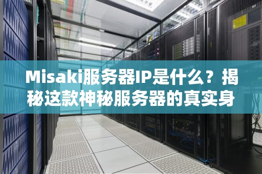 Misaki服务器IP是什么？揭秘这款神秘服务器的真实身份与性能表现！