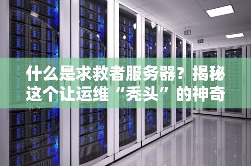 什么是求救者服务器？揭秘这个让运维“秃头”的神奇存在！
