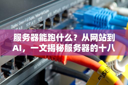 服务器能跑什么？从网站到AI，一文揭秘服务器的十八般武艺！