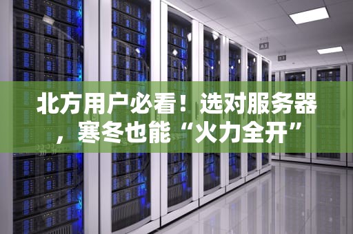 北方用户必看！选对服务器，寒冬也能“火力全开”