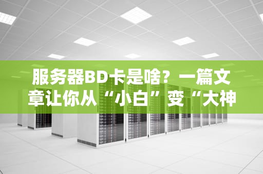 服务器BD卡是啥？一篇文章让你从“小白”变“大神”！