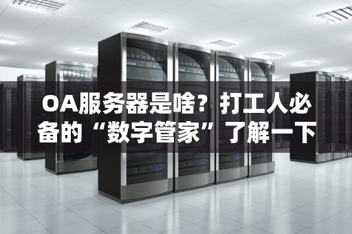 OA服务器是啥？打工人必备的“数字管家”了解一下！
