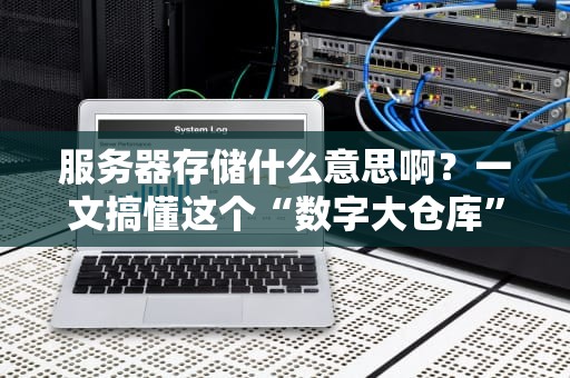 服务器存储什么意思啊？一文搞懂这个“数字大仓库”的奥秘！