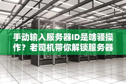 手动输入服务器ID是啥骚操作？老司机带你解锁服务器管理新姿势！