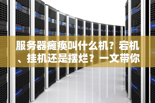 服务器瘫痪叫什么机？宕机、挂机还是摆烂？一文带你搞懂那些“罢工”的服务器黑话！