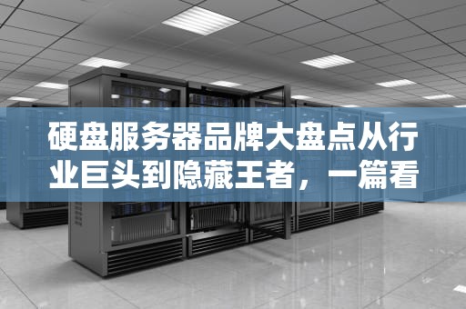 硬盘服务器品牌大盘点从行业巨头到隐藏王者，一篇看懂怎么选！