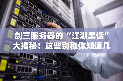 剑三服务器的“江湖黑话”大揭秘！这些别称你知道几个？