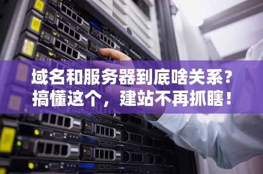 域名和服务器到底啥关系？搞懂这个，建站不再抓瞎！