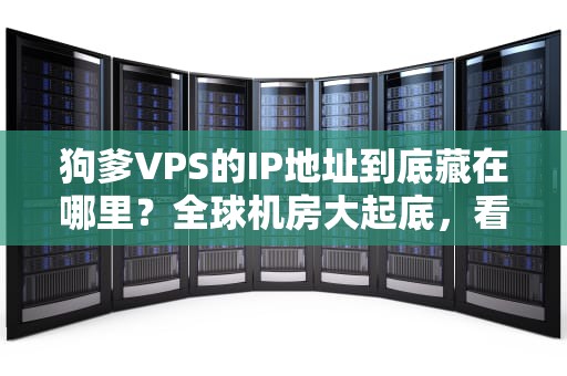 狗爹VPS的IP地址到底藏在哪里？全球机房大起底，看完笑出猪叫！