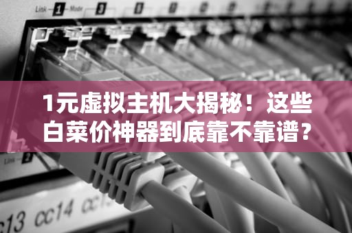 1元虚拟主机大揭秘！这些白菜价神器到底靠不靠谱？