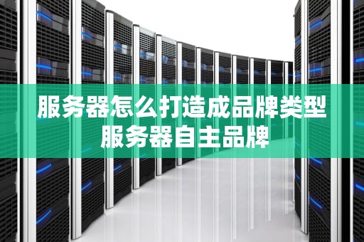 服务器怎么打造成品牌类型 服务器自主品牌