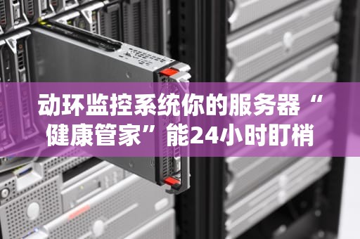 动环监控系统你的服务器“健康管家”能24小时盯梢吗？