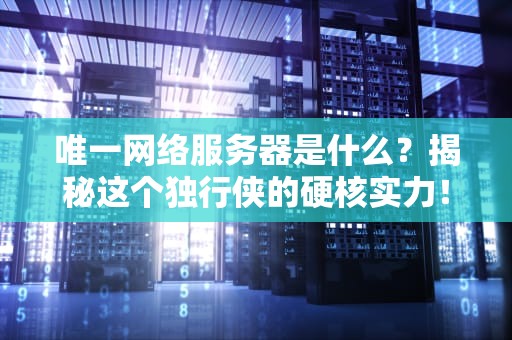 唯一网络服务器是什么？揭秘这个独行侠的硬核实力！