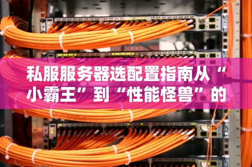 私服服务器选配置指南从“小霸王”到“性能怪兽”的终极避坑手册