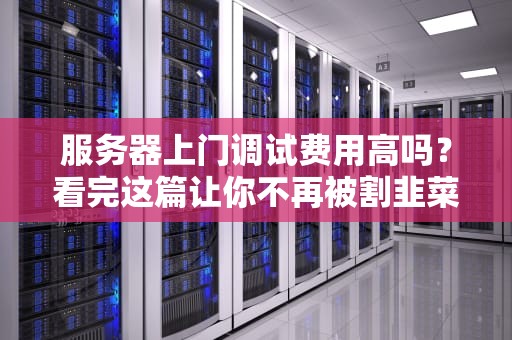 服务器上门调试费用高吗？看完这篇让你不再被割韭菜！