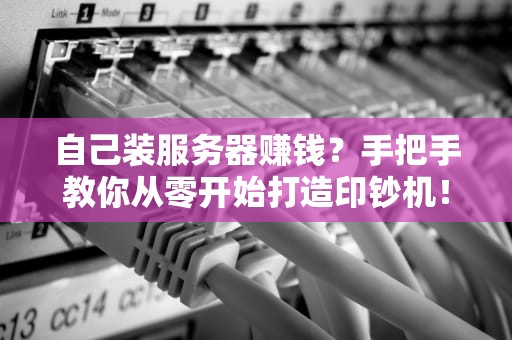 自己装服务器赚钱？手把手教你从零开始打造印钞机！