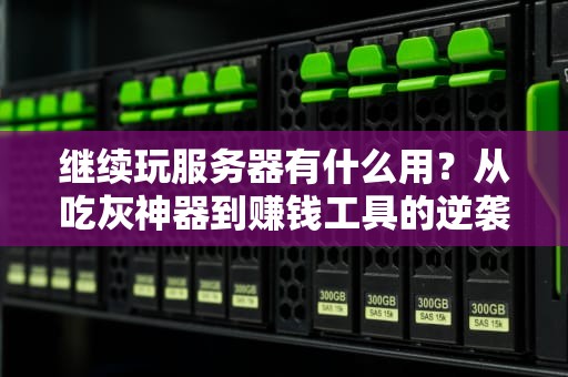 继续玩服务器有什么用？从吃灰神器到赚钱工具的逆袭之路！