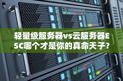 轻量级服务器vs云服务器ESC哪个才是你的真命天子？
