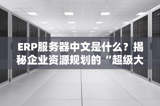 ERP服务器中文是什么？揭秘企业资源规划的“超级大脑”