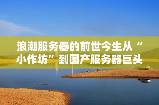浪潮服务器的前世今生从“小作坊”到国产服务器巨头的逆袭之路