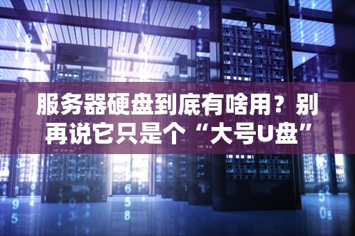 服务器硬盘到底有啥用？别再说它只是个“大号U盘”了！