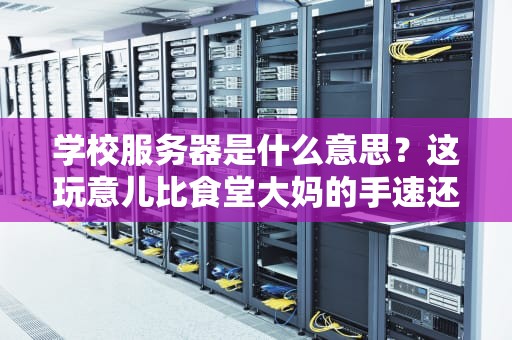 学校服务器是什么意思？这玩意儿比食堂大妈的手速还重要！