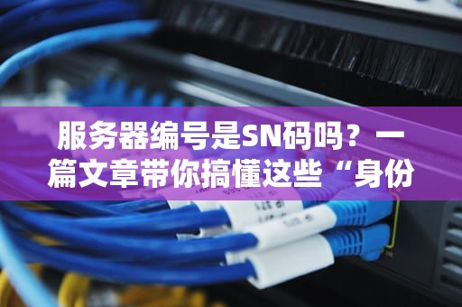 服务器编号是SN码吗？一篇文章带你搞懂这些“身份证”的奥秘！