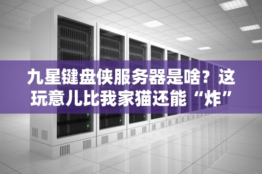 九星键盘侠服务器是啥？这玩意儿比我家猫还能“炸”机房！
