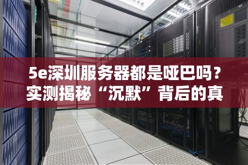 5e深圳服务器都是哑巴吗？实测揭秘“沉默”背后的真相！