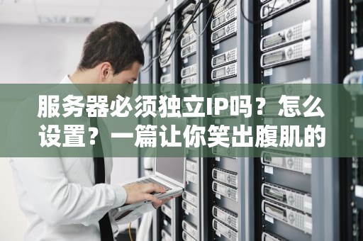 服务器必须独立IP吗？怎么设置？一篇让你笑出腹肌的科普指南