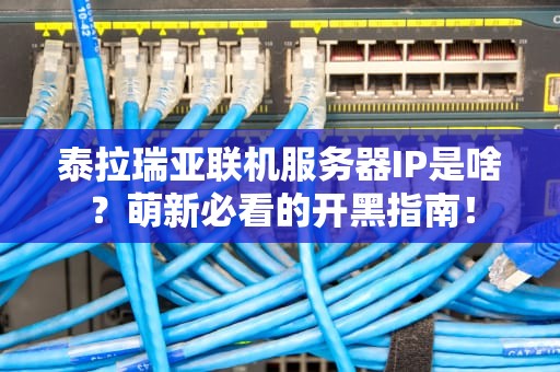 泰拉瑞亚联机服务器IP是啥？萌新必看的开黑指南！