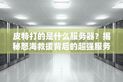 皮特打的是什么服务器？揭秘怒海救援背后的超强服务器配置！