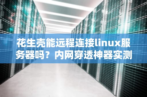 花生壳能远程连接linux服务器吗？内网穿透神器实测大揭秘！