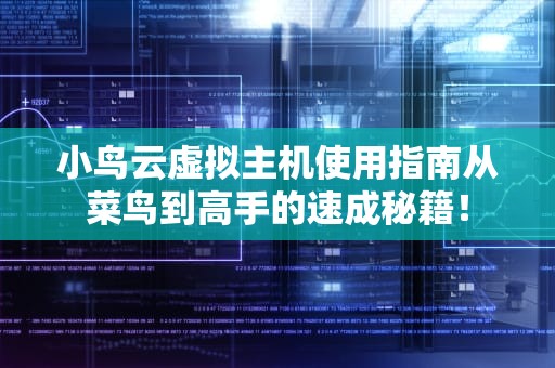 小鸟云虚拟主机使用指南从菜鸟到高手的速成秘籍！