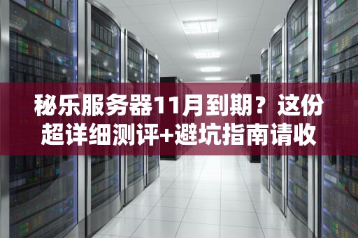秘乐服务器11月到期？这份超详细测评+避坑指南请收好！