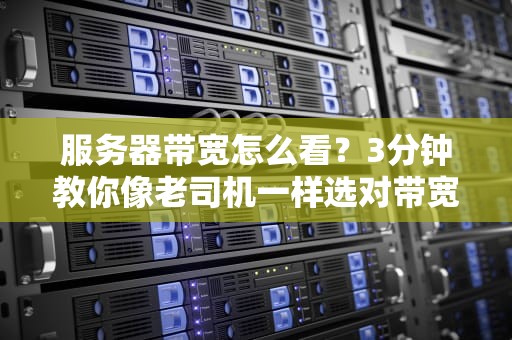 服务器带宽怎么看？3分钟教你像老司机一样选对带宽！