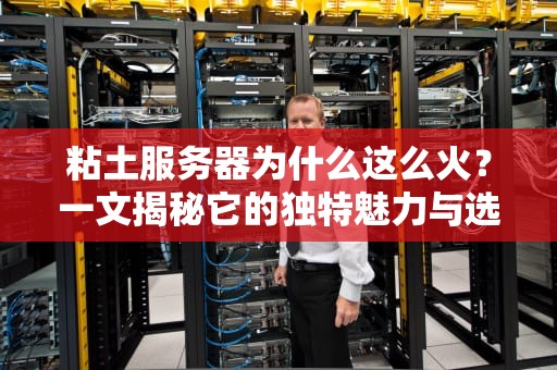 粘土服务器为什么这么火？一文揭秘它的独特魅力与选购技巧！