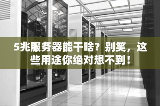 5兆服务器能干啥？别笑，这些用途你绝对想不到！