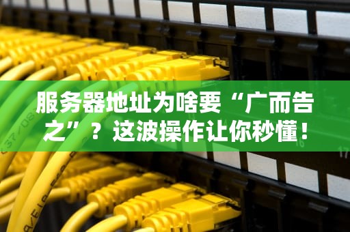 服务器地址为啥要“广而告之”？这波操作让你秒懂！