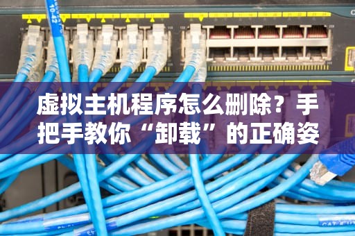 虚拟主机程序怎么删除？手把手教你“卸载”的正确姿势！