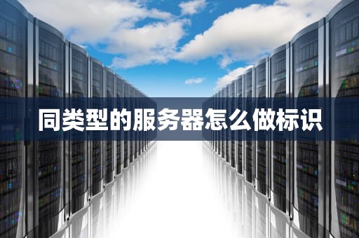 同类型的服务器怎么做标识