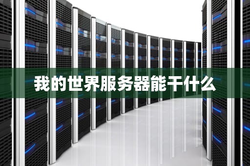 我的世界服务器能干什么