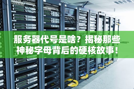 服务器代号是啥？揭秘那些神秘字母背后的硬核故事！