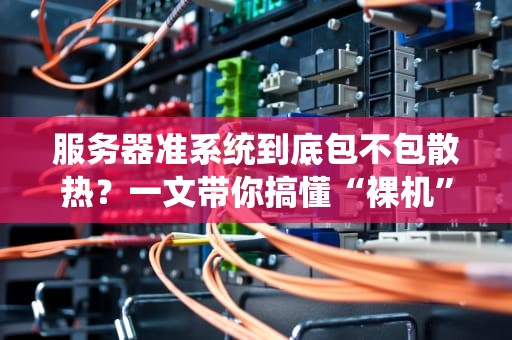 服务器准系统到底包不包散热？一文带你搞懂“裸机”的冷知识！