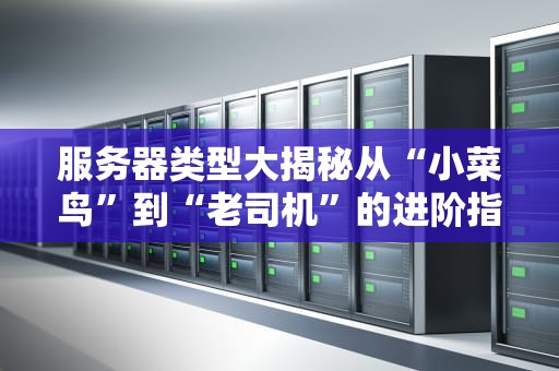 服务器类型大揭秘从“小菜鸟”到“老司机”的进阶指南（版）